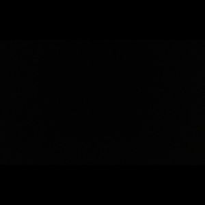 Meet your Posher, Amelia